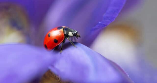 Shutterstock 1905386464 edited