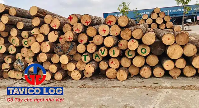 Tavico logs