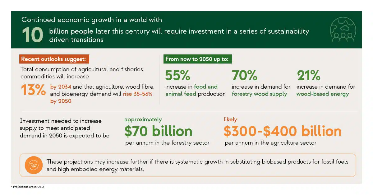 Nwf 303701 investing in the circular bioeconomy transition article web graphics2