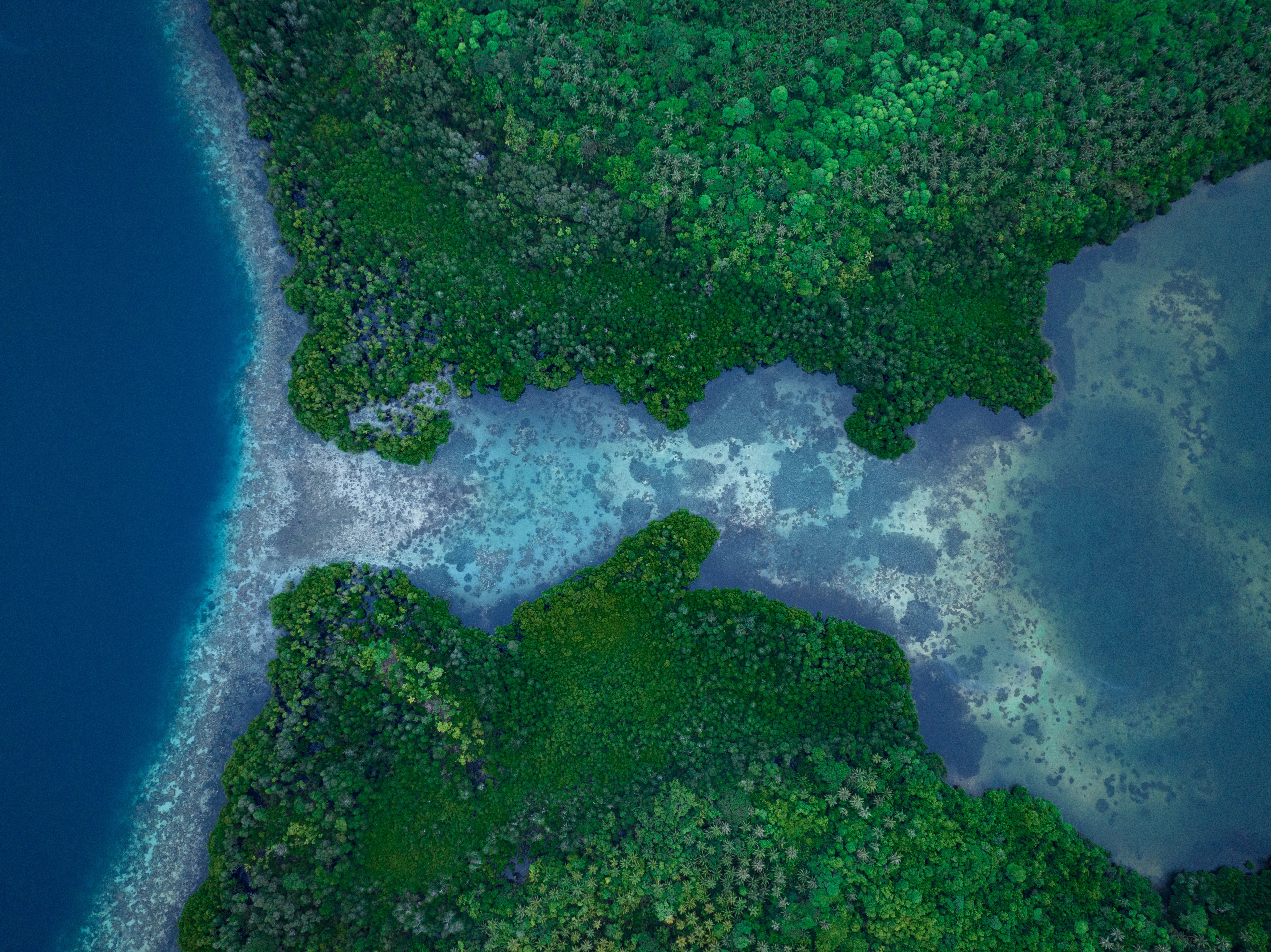 Shutterstock 2246153447