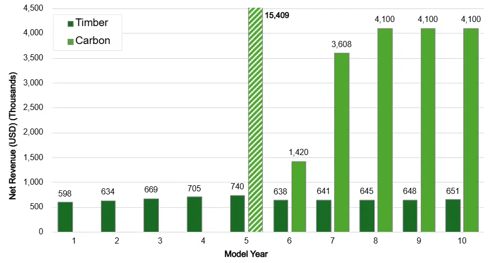 Projected net revenue tc scenario